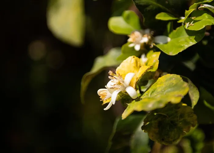 Casa Nicoletta بيت للعطل *